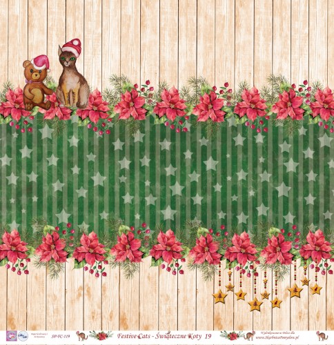 Festive cats || Świąteczne koty