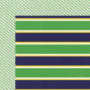 My Mind's Eye - Papier do scrapbookingu dwustronny 30,5 x 30,5 cm Oxford lane  Bold