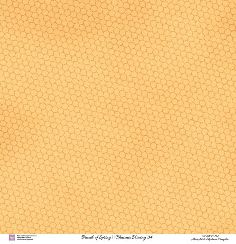 Skarbnica Pomysłów - Papier do scrapbookingu Tchnienie Wiosny/Breath of Spring