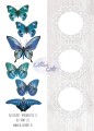 scrapbooking-motyle-niebieskie-AltairArt-Midwinter