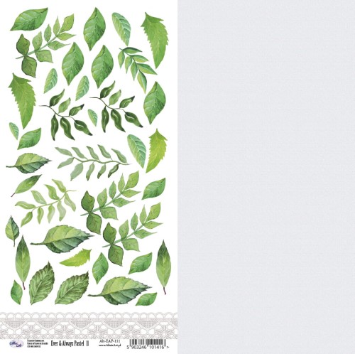 Papier do scrapbookingu 30x15 Ever & Always Pastel 11 - AltairArt