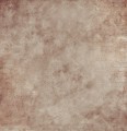Papier do scrapbookingu Mysterious Garden 05 - 30x30 - AltairArt