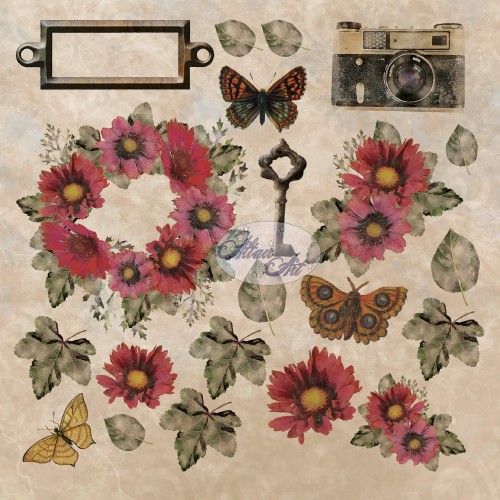 papier do scrapbookingu vintage Butterfly Effect