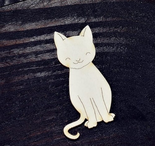 TEKTURKA GRZECZNY KOTEK