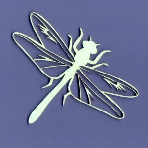 1072 TEKTURKA - WAŻKA KAŚKA