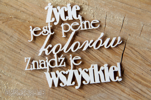 zycie jest pełne kolorow znajdz je wszystkie.png