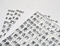 Papier-morwowy-z-napisami-po-chinsku-bibułka