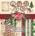Festive cats || Świąteczne koty