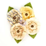 St. Tropez - Kwiaty North Riviera