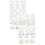 Studio75 Dodatki do wycinania 02 - NAPISY