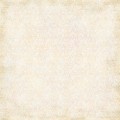 Desert Rose - DESERT SAND