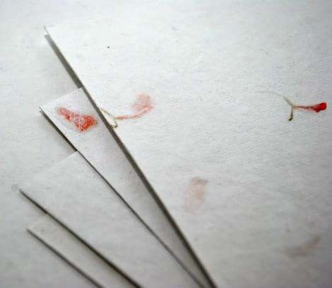 Papier-czerpany-biały-A4-z-nagietkiem-200-gsm-10-arkuszy