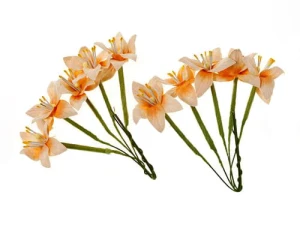 Lilie, kremowo-brzoskwiniowe 10 szt 