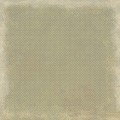 Desert Rose - SECRET