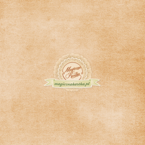 Papier do scrapbookingu - W stronę Tęczy 2 - 07 rudy - 30x30 - Magiczna Kartka