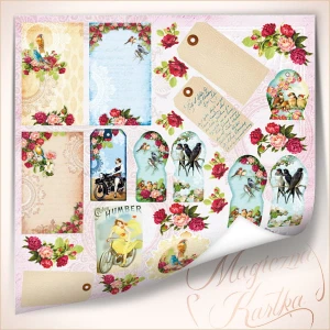 Venus i Mars 016 - dodatki Venus 2