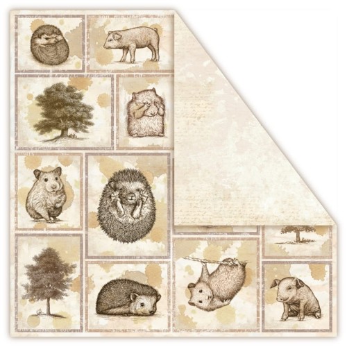 Terra Incognita - ARBOREOUS