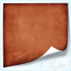 Arkusz papieru 30x30 Poranna Kawa 004